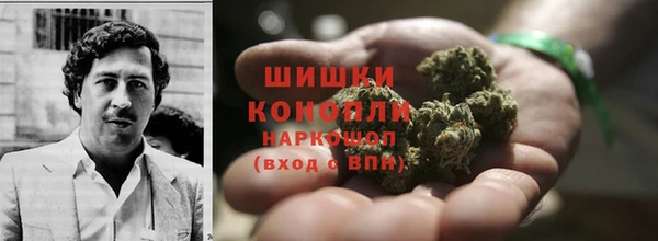 дживик Переславль-Залесский