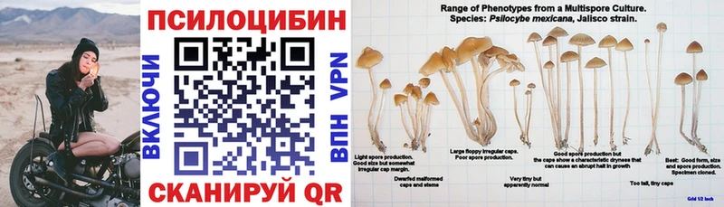 Псилоцибиновые грибы прущие грибы Алагир